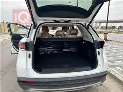 BAIC X7